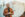 Thierry Von der Warth - Partybookingz